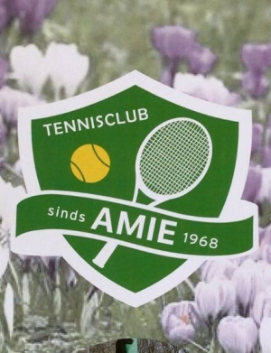 uitwisselingstoernooi met tennisvereniging AMIE