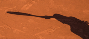 Gezocht; Ledenadministrateur....