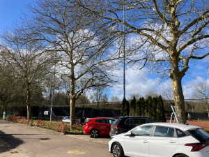 13 maart '25 zijn 4 bomen naast tennisbaan 5 en een boom tussen het fietsenhok en padelbaan C verwijderd